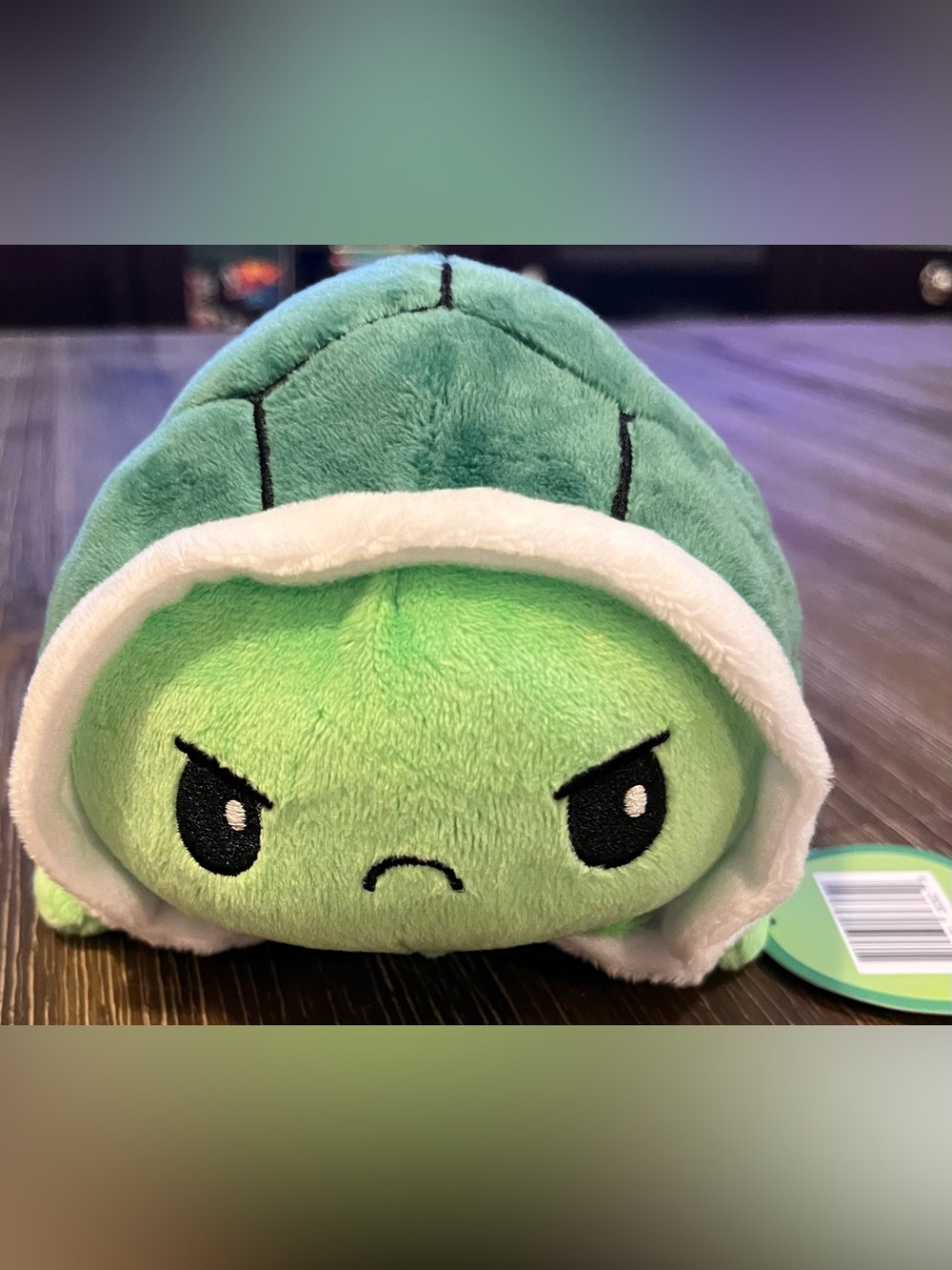 Green Plush Turtle Stuffed Animal